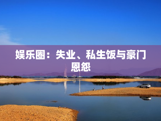 娱乐圈：失业、私生饭与豪门恩怨